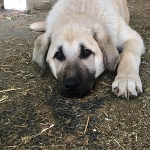 Meet your Posher, Briana